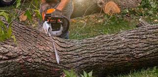 Best Lawn Drainage Solutions  in Superior, CO
