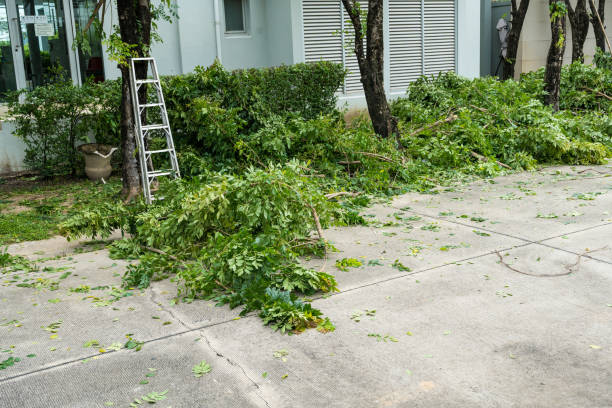 Best Lawn Mowing  in Superior, CO